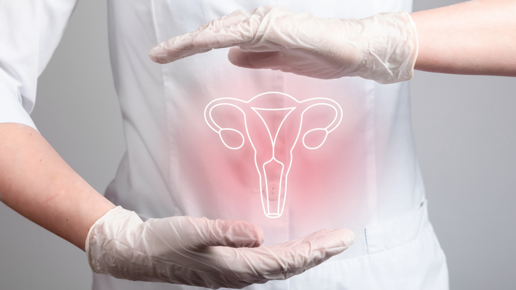 Gloved hands holding an image of the female reproductive system