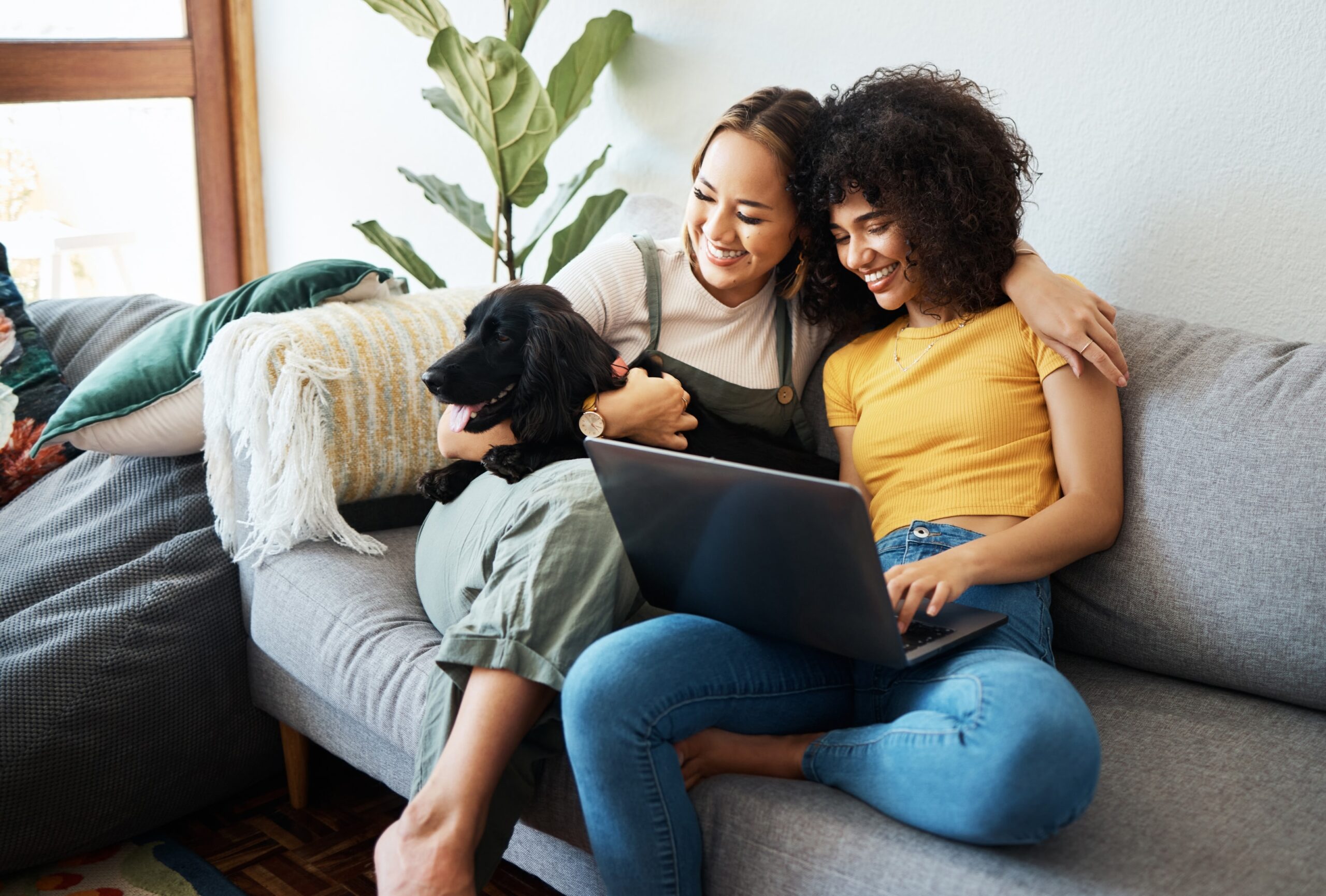 Couple reviewing IVF process and IVF timeline