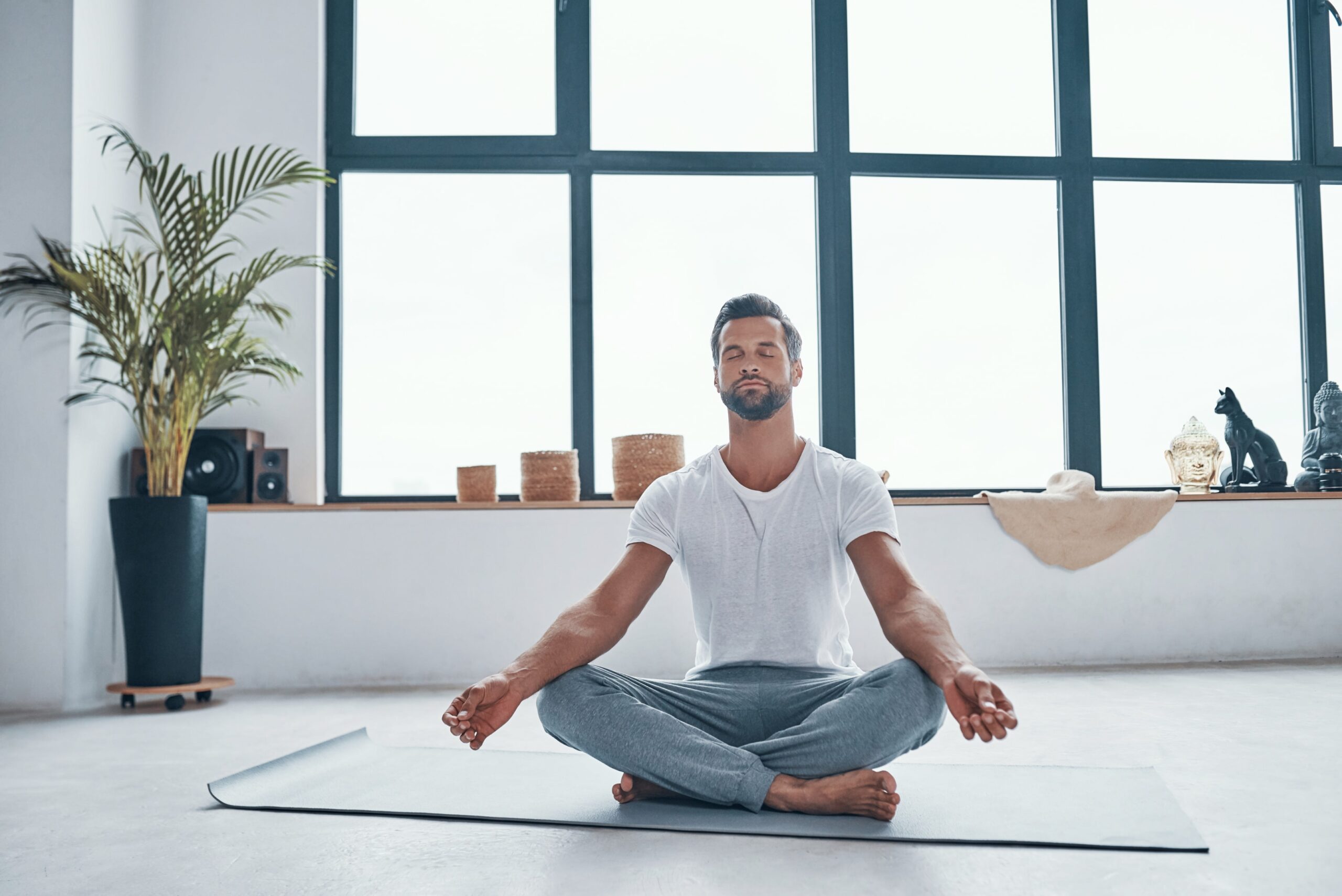 male wellbeing, fertility, sperm health